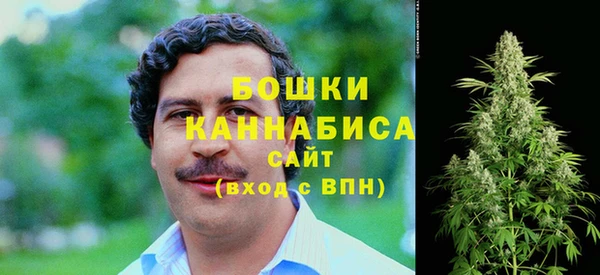 стафф Пересвет