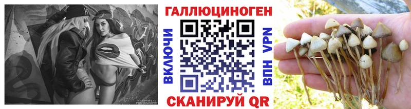 сайты даркнета состав  где купить   Ковдор  Галлюциногенные грибы Psilocybe 